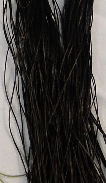 Raven and Wolf Insect Legs - Standard